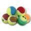 Promotional and Cheap Puppy Tennis Ball for Dog