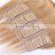 Raw natural Russian remy hair tape hair extension