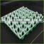 Plastic Molded Egg Trays for sales