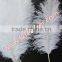 Natural Craft Feather Big White Ostrich Feather For Wedding And Party Decoration 60cm-65cm