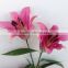 most famous flowers bouquet flower 12 head lucky rose bud and lilies