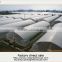 15 years warranty hot galvanized pipes cheap PE film agriculture single span tunnel greenhouse