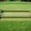 Natural carpet grass for garden