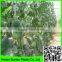 Support Peas Runner Beans & Sweet Peas Climbing Plant Support Mesh Net