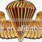wholesale, Gold, silver, Bruss pilot wing emblem