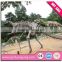 Large dinosaur fossils in Zigong for sale