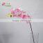 artificial dendrobium orchid wanda orchid phalaenopsis flower for decoration