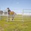Galvanized portable corral panels for sale