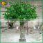 Wholesale artificial banyan tree good quality artificial big ficus tree