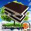 Hot sale plywood /film faced plywood
