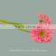 Kunming flower export long stem glass flowers pvc flower stem with 70-80cm long from Yunnan, China