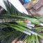 Artificial palm fronds/leaf/leaves