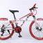 24-inch mountain bike 21 speed dual disc brakes mountain bike