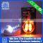 2016 Hot Sell LED Gift Shoelace For Sports Safety Usage