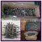 1''-6'' 2kg net weight 4kg gross 16 inner box weight common nails