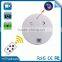 Amazon Hot Selling 8GB Hidden Camera Smoke and Motion Detector Audio Recording Digital Video Recorder Mini DV Camcorder