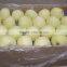 Chinese Golden Apples Fruit 20kg Ctn