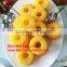 Vietnamese pineapples canned from Ban Mai co.,ltd