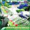 New Crop fresh green garlic sprout for wholesale