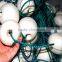 deep sea plastic fishing nets with floats