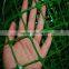 High quality growing Plastic Mesh white color