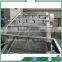 China Stainless Steel High Efficiency Fruit And Vegetable Washing Machine
