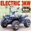 3000W 72V Adult Electric Quad Bike