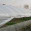 Low cost single-span greenhouse film hoops