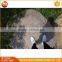 Pave Wash Decoration Granite Natural Pebble
