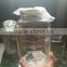 Beverage Dispenser glass Jar with Infuser -2 Gallon