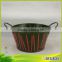 Long Life Latest Variety Style Orchid Pot for Home and Garden