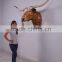 Texas Long Horn