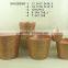 ceramic flower planter pot christmas series