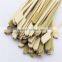 Top quanlity bamboo BBQ gun green flat skewer