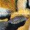 100% AC Multi-color Three-dimensional Jacquard Artificial Fur Fabric