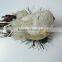 Bottom price Best-Selling general pipe cleaners parts