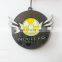 Irregular shape zinc alloy casting medal personalized design of nuclear and wings medal