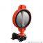 WD371XR-16Q no pin disc ss316 disc replacable seat DN450 wafer butterfly valve