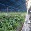 Black Shade Net 30%, dubai green Shade Net 40% 50% 60% 70%