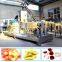 Dog Food Manufacturing Equipment