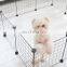 Stylish Folding Square Pet Cage Doghouse Rail Fence Cat Iron Cage High-End OEM and ODM Pet dog Cage