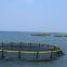 Floating Fish Cages Farming Wind And Wave Resistance Aqua Cage Fisheries