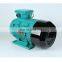 Customized 220v triphasic generator 2.2kw 3hp three phase induction motor with B14 B34 flange