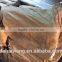 Frozen Illex Squid Supplier size 200 - 300 g