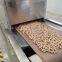 Advanced Microwave Continuous Peanut Roasting Machine