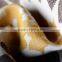 New Fashion Factory Price Polyester 100 polyester microfiber fabric