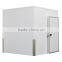 cold room plant/ cold room/ cold freezer