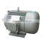 WEG Standard Three Phase Electric Motors