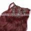 Hair salon premium hair extension human hair hot sale                        
                                                                                Supplier's Choice