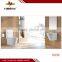 sanitary ware two piece toilet set in Chaozhou